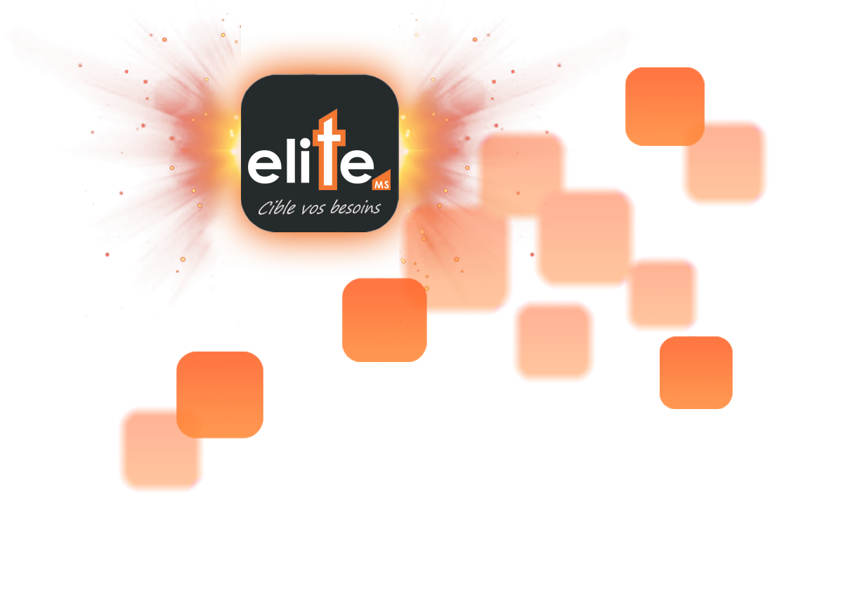 Elite MS Marketing Systeme